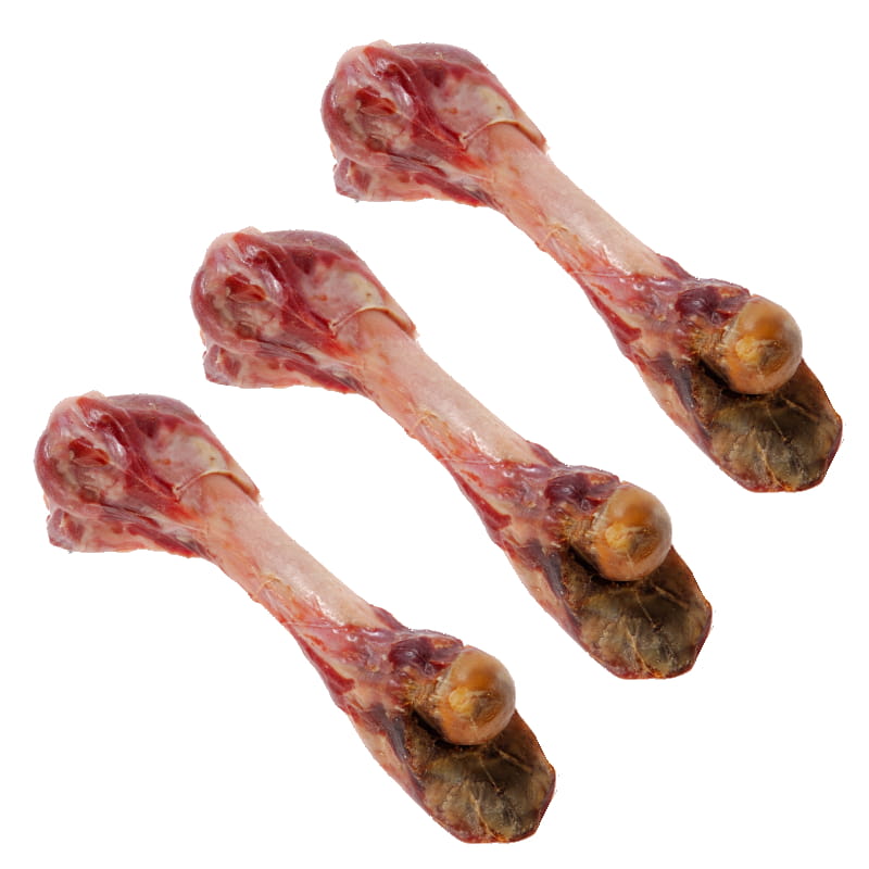 kość parmeńska3SZ.jpg